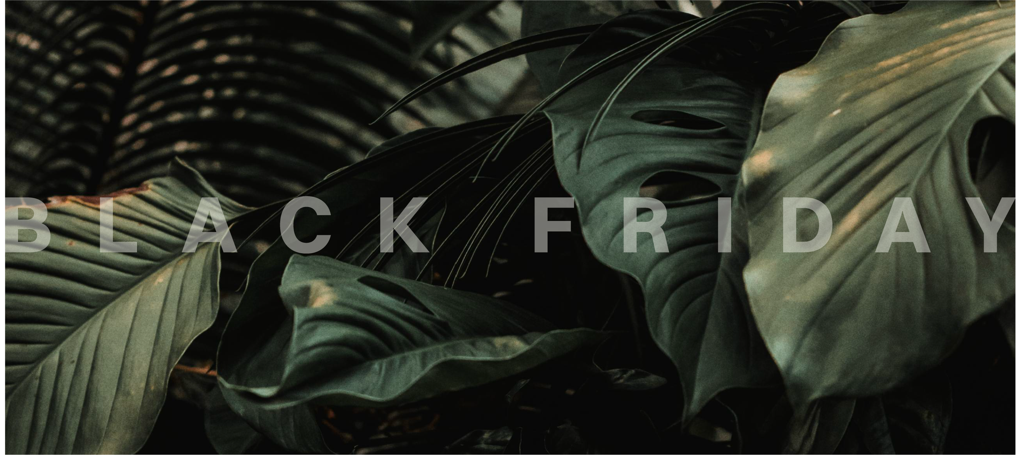 BLACK FRIDAY
